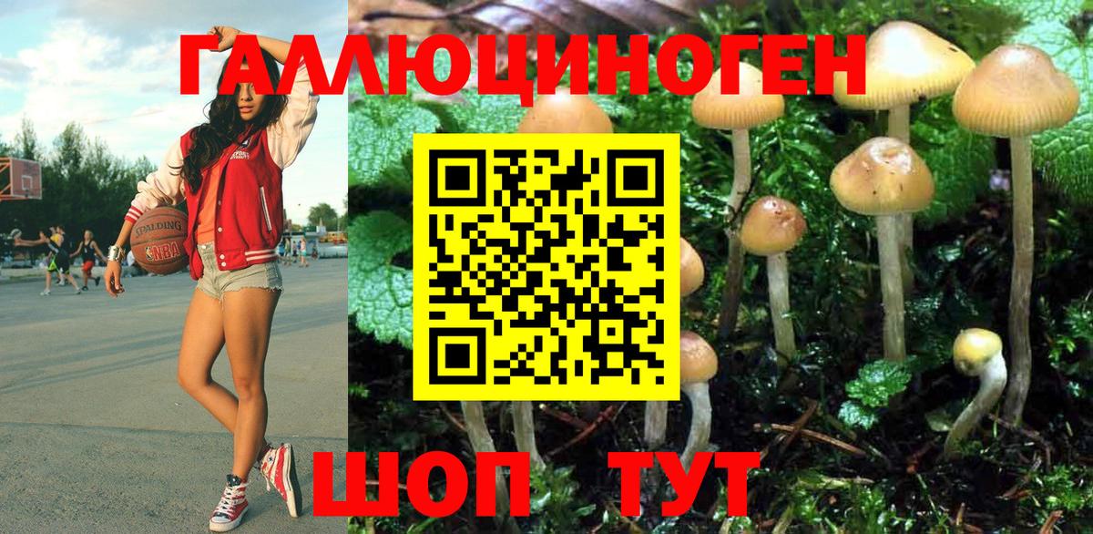 Галлюциногенные грибы Cubensis Саяногорск